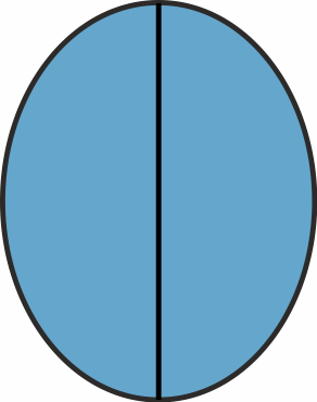 /Mattress/Shapes/movl